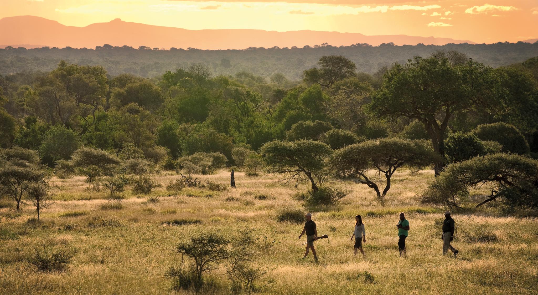 Lion Sands Narina Lodge Sabi Sands viltreservat Exteriör bild
