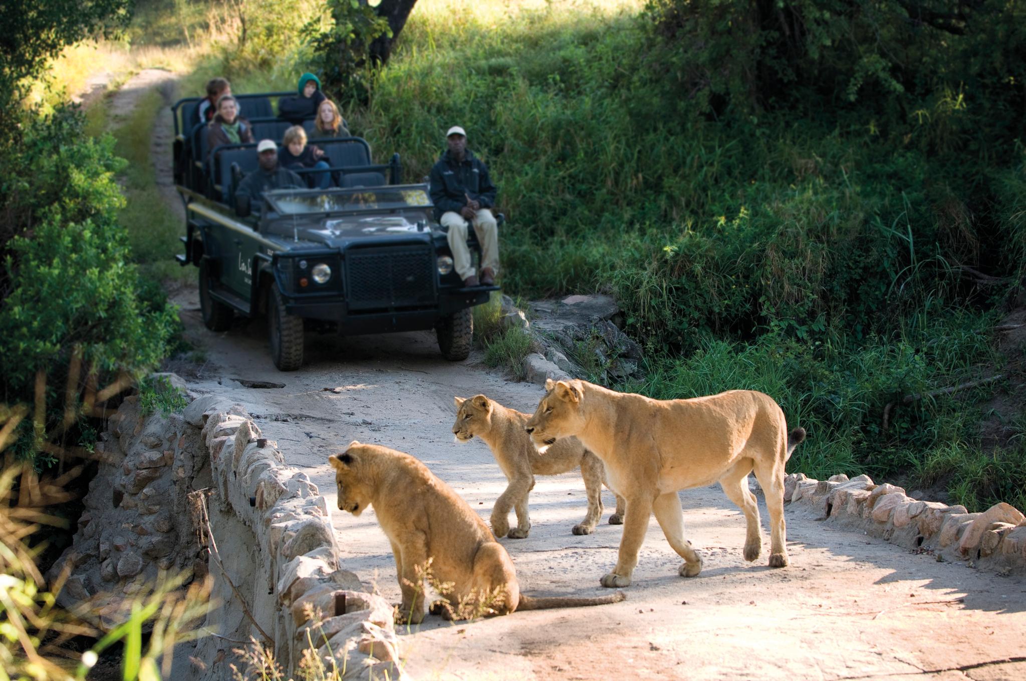 Lion Sands Narina Lodge Sabi Sands viltreservat Exteriör bild