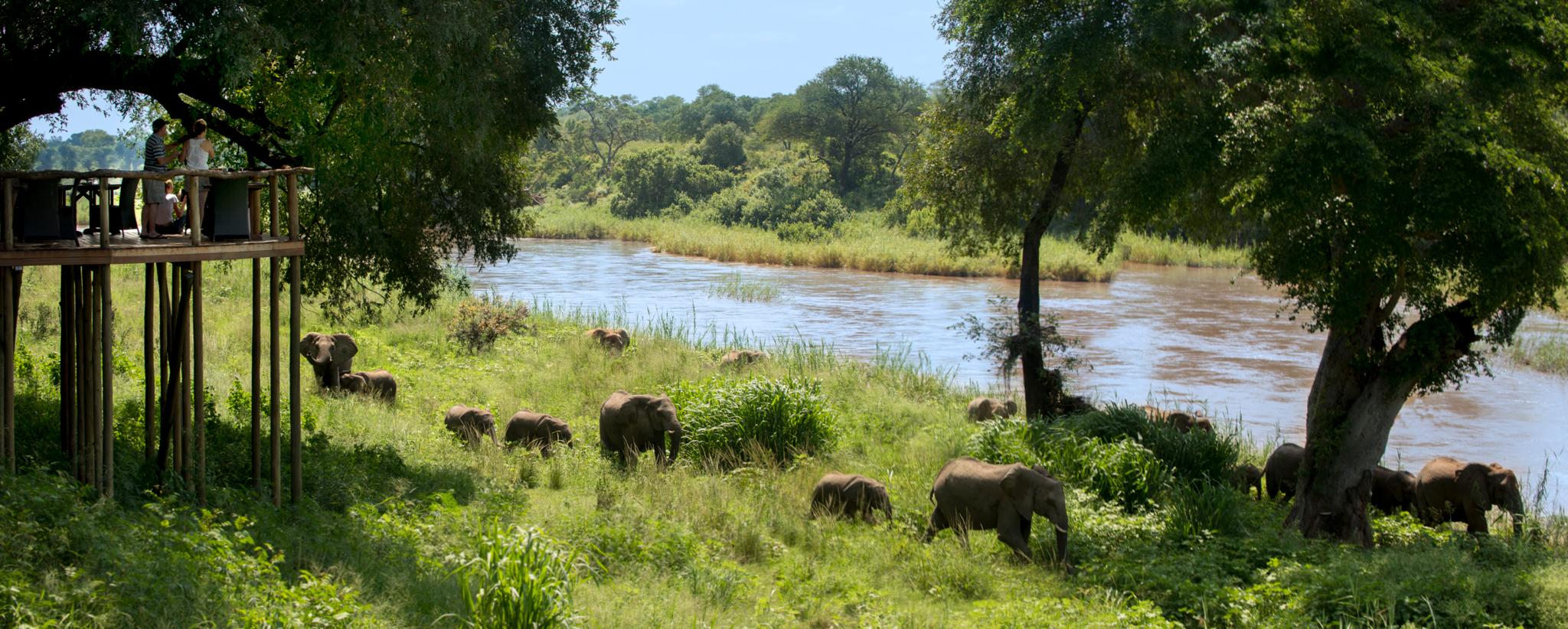 Lion Sands Narina Lodge Sabi Sands viltreservat Exteriör bild