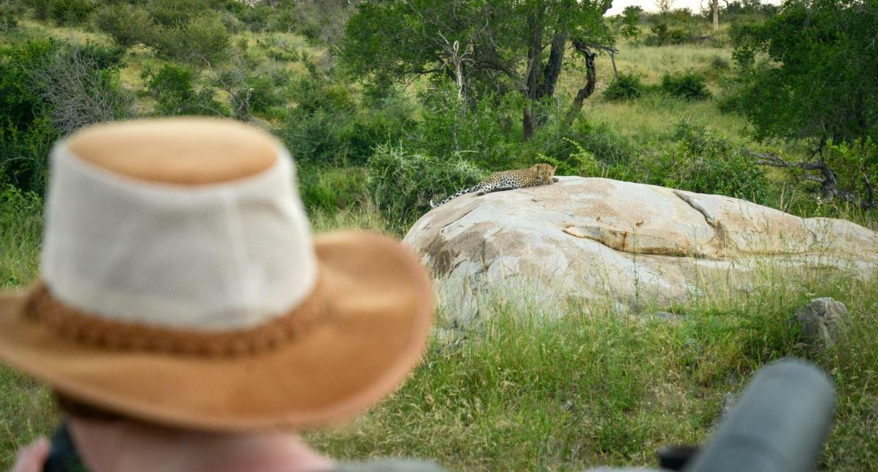 Lion Sands Narina Lodge Sabi Sands viltreservat Exteriör bild