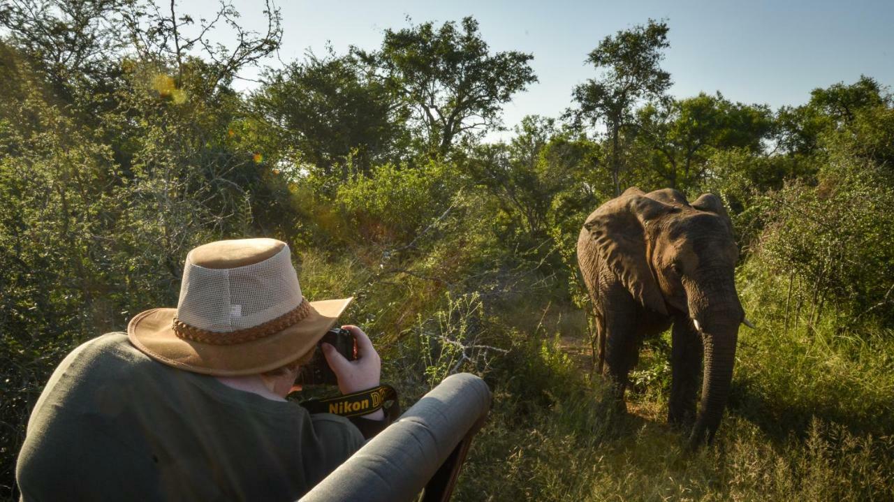 Lion Sands Narina Lodge Sabi Sands viltreservat Exteriör bild